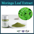 100% Natural Herbal Extract Moringa Leaf Powder